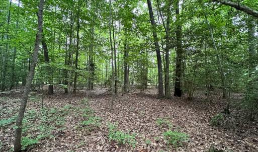 Photo #7 of 368 Greenbriar Rd, Walkerton, VA 9.5 acres