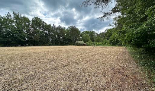 Photo #8 of 368 Greenbriar Rd, Walkerton, VA 9.5 acres