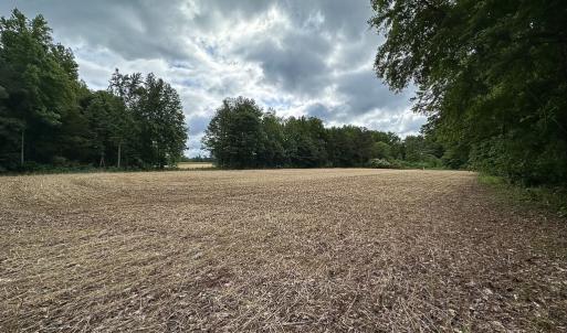 Photo #10 of 368 Greenbriar Rd, Walkerton, VA 9.5 acres