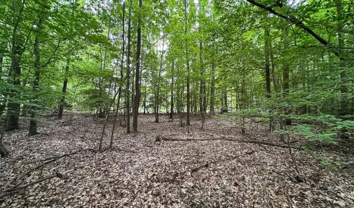 Photo #14 of 368 Greenbriar Rd, Walkerton, VA 9.5 acres