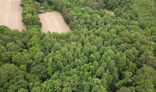 Photo #15 of 368 Greenbriar Rd, Walkerton, VA 9.5 acres