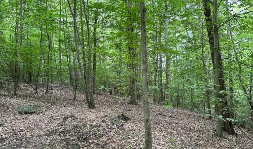 Photo #16 of 368 Greenbriar Rd, Walkerton, VA 9.5 acres