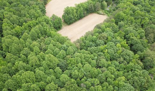 Photo #18 of 368 Greenbriar Rd, Walkerton, VA 9.5 acres