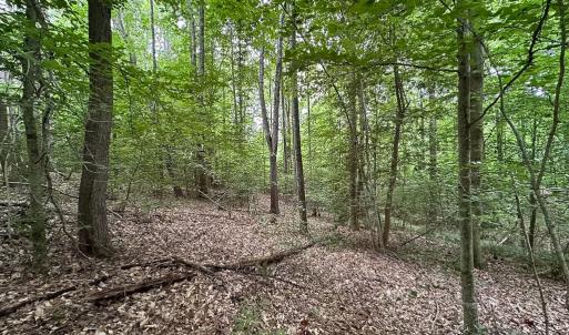 Photo #19 of 368 Greenbriar Rd, Walkerton, VA 9.5 acres