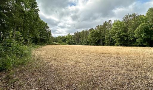 Photo #20 of 368 Greenbriar Rd, Walkerton, VA 9.5 acres