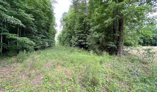 Photo #25 of 368 Greenbriar Rd, Walkerton, VA 9.5 acres