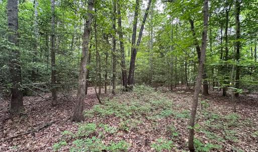 Photo #26 of 368 Greenbriar Rd, Walkerton, VA 9.5 acres