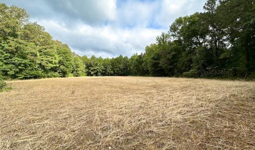 Photo #28 of 368 Greenbriar Rd, Walkerton, VA 9.5 acres