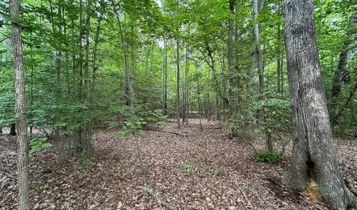 Photo #29 of 368 Greenbriar Rd, Walkerton, VA 9.5 acres