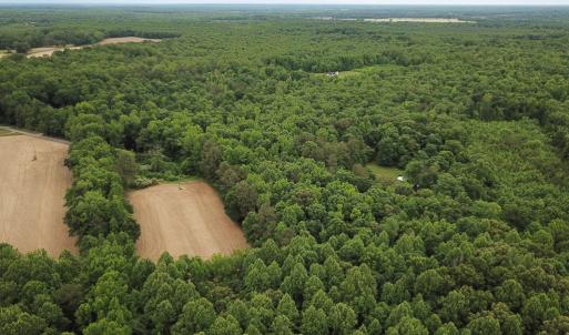 Photo #30 of 368 Greenbriar Rd, Walkerton, VA 9.5 acres