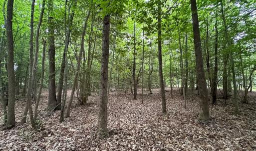 Photo #31 of 368 Greenbriar Rd, Walkerton, VA 9.5 acres