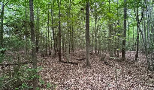 Photo #33 of 368 Greenbriar Rd, Walkerton, VA 9.5 acres