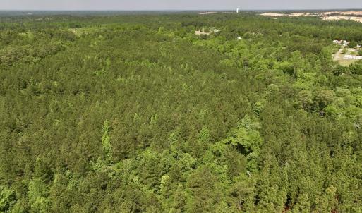 Photo #22 of 228 Farley Rd, Cameron, NC 30.1 acres