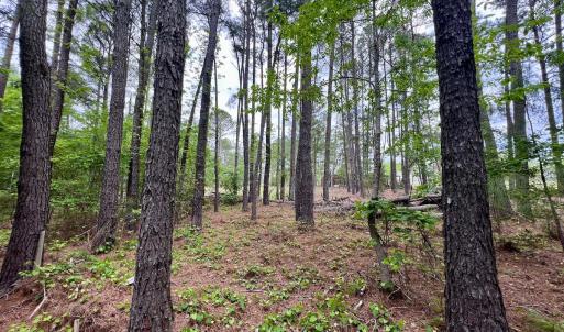 Photo #46 of 228 Farley Rd, Cameron, NC 30.1 acres