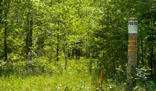 Photo #13 of SOLD property in Lot 1 - Off Wilson Road, Providence, NC 6.8 acres