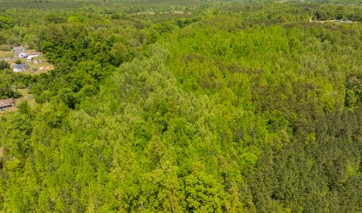 Photo #28 of SOLD property in Lot 1 - Off Wilson Road, Providence, NC 6.8 acres