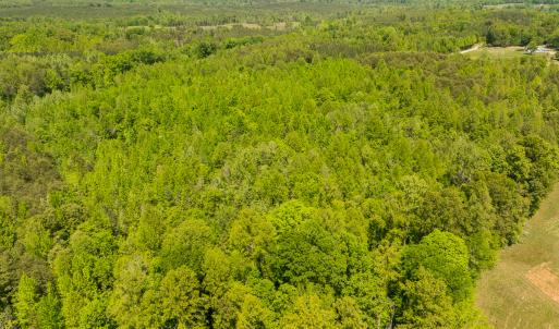 Photo #30 of SOLD property in Lot-2 - Off Wilson Road, Providence, NC 6.2 acres