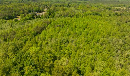 Photo #35 of SOLD property in Lot-2 - Off Wilson Road, Providence, NC 6.2 acres