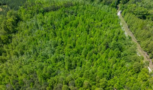 Photo #7 of SOLD property in Lot-3 - Off Wilson Road, Providence, NC 5.0 acres