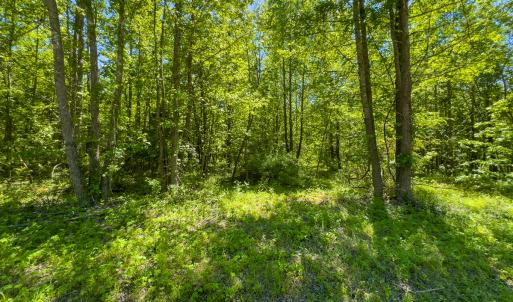 Photo #23 of SOLD property in Lot-3 - Off Wilson Road, Providence, NC 5.0 acres