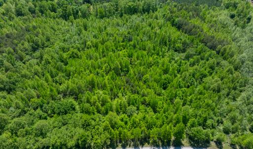 Photo #26 of SOLD property in Lot-3 - Off Wilson Road, Providence, NC 5.0 acres