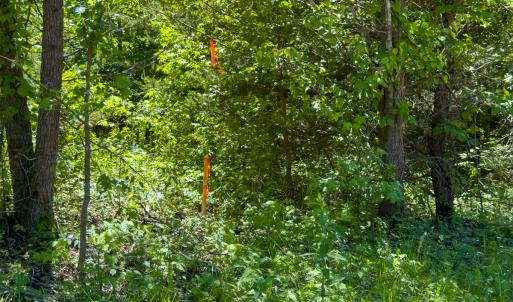 Photo #12 of Lot-4 - Off Wilson Road, Providence, NC 5.7 acres