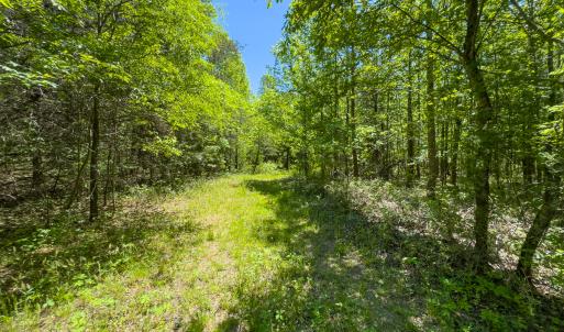 Photo #18 of Lot-4 - Off Wilson Road, Providence, NC 5.7 acres