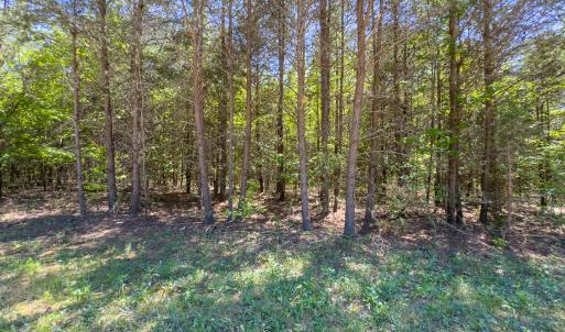 Photo #30 of Lot-4 - Off Wilson Road, Providence, NC 5.7 acres