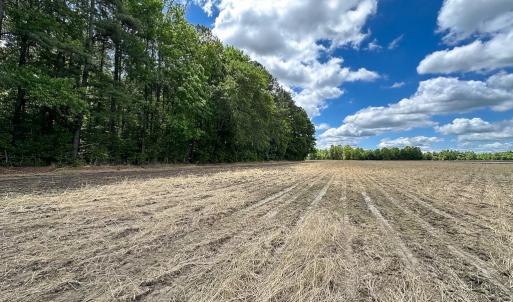 Photo #14 of Off Bobcat Ln, Franklin, VA 30.0 acres