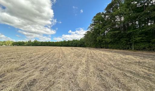 Photo #16 of Off Bobcat Ln, Franklin, VA 30.0 acres