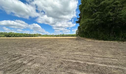 Photo #18 of Off Bobcat Ln, Franklin, VA 30.0 acres