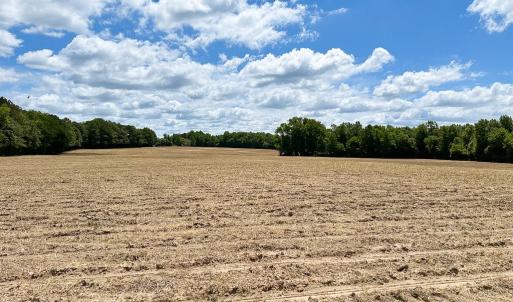 Photo #25 of Off Bobcat Ln, Franklin, VA 30.0 acres