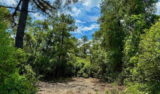 Photo #4 of SOLD property in Off Dunbar Canal Rd - Lot #44, Currituck, NC 60.0 acres