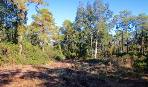 Photo #7 of Off Dunbar Canal Rd - Lot #44, Currituck, NC 60.0 acres