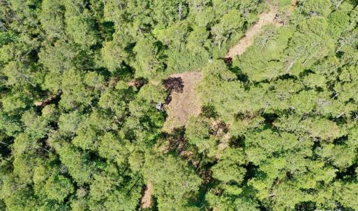 Photo #15 of Off Dunbar Canal Rd - Lot #44, Currituck, NC 60.0 acres