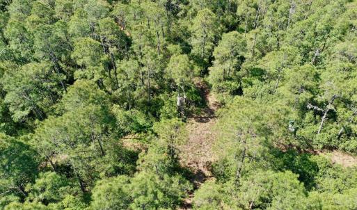 Photo #17 of Off Dunbar Canal Rd - Lot #44, Currituck, NC 60.0 acres