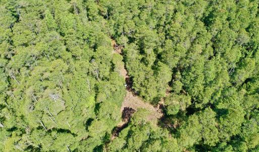 Photo #19 of Off Dunbar Canal Rd - Lot #44, Currituck, NC 60.0 acres