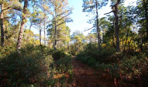 Photo #23 of Off Dunbar Canal Rd - Lot #44, Currituck, NC 60.0 acres