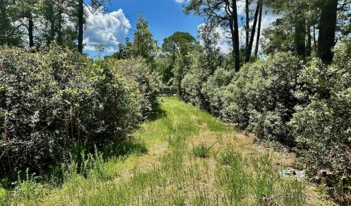 Photo #25 of SOLD property in Off Dunbar Canal Rd - Lot #44, Currituck, NC 60.0 acres