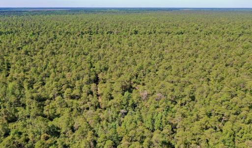 Photo #26 of Off Dunbar Canal Rd - Lot #44, Currituck, NC 60.0 acres