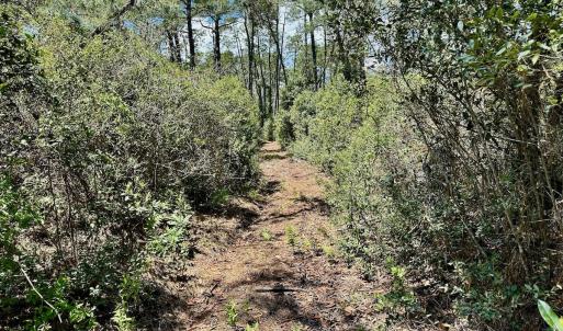 Photo #27 of SOLD property in Off Dunbar Canal Rd - Lot #44, Currituck, NC 60.0 acres