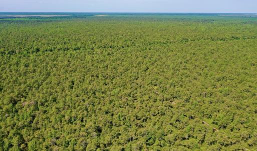 Photo #30 of Off Dunbar Canal Rd - Lot #44, Currituck, NC 60.0 acres