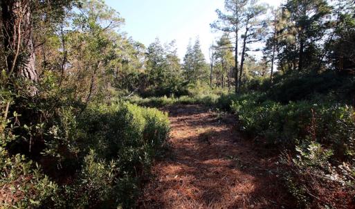 Photo #32 of Off Dunbar Canal Rd - Lot #44, Currituck, NC 60.0 acres