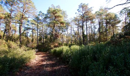Photo #35 of Off Dunbar Canal Rd - Lot #44, Currituck, NC 60.0 acres