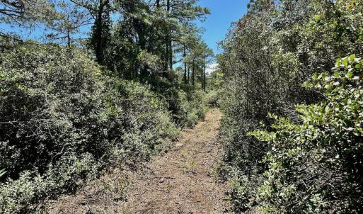 Photo #37 of Off Dunbar Canal Rd - Lot #44, Currituck, NC 60.0 acres