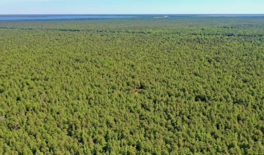 Photo #40 of Off Dunbar Canal Rd - Lot #44, Currituck, NC 60.0 acres