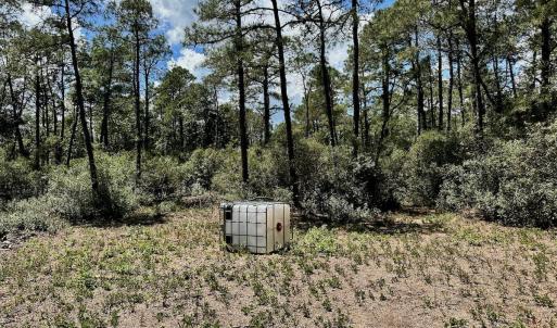 Photo #11 of Off Dunbar Canal Rd - Lot #44, Currituck, NC 60.0 acres