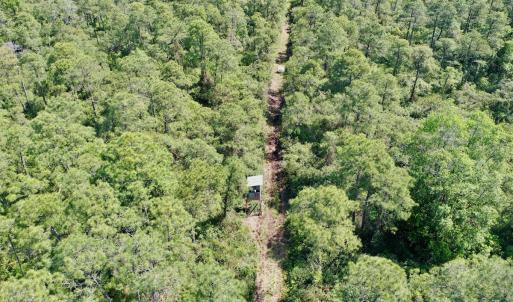 Photo #12 of SOLD property in Off Dunbar Canal Rd - Lot #44, Currituck, NC 60.0 acres