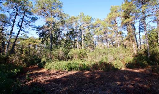 Photo #43 of Off Dunbar Canal Rd - Lot #44, Currituck, NC 60.0 acres