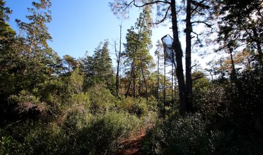 Photo #44 of Off Dunbar Canal Rd - Lot #44, Currituck, NC 60.0 acres